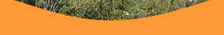 bed breakfast monopoli,monopoli pernottamento
